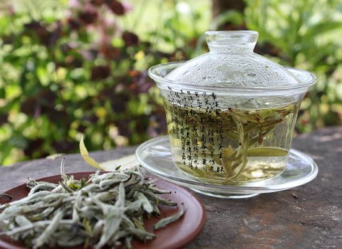 https://shp.aradbranding.com/خرید و قیمت گیاه چای سفید + فروش عمده